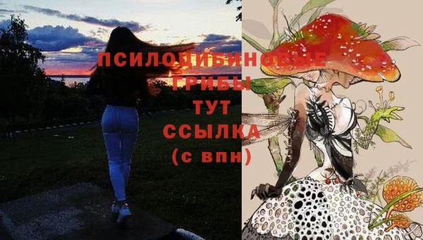 твердый Новокубанск