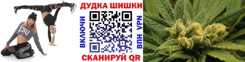 Конопля OG Kush  Купить  Светлогорск 